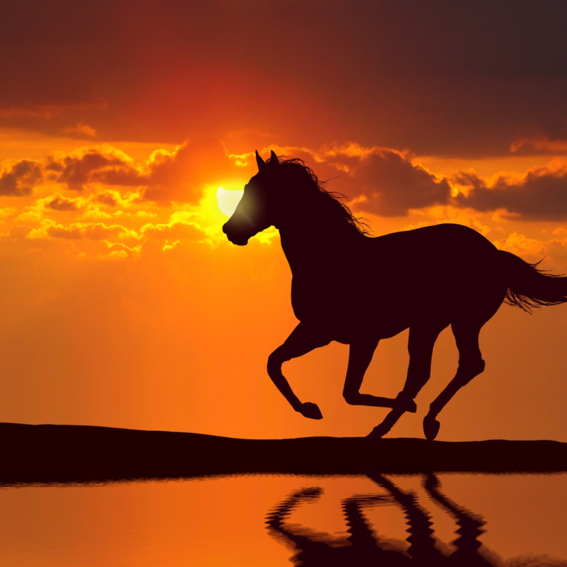 Một khám phá về sức mạnh của lời nói và ảnh hưởng của nó đến cuộc sống hàng ngày