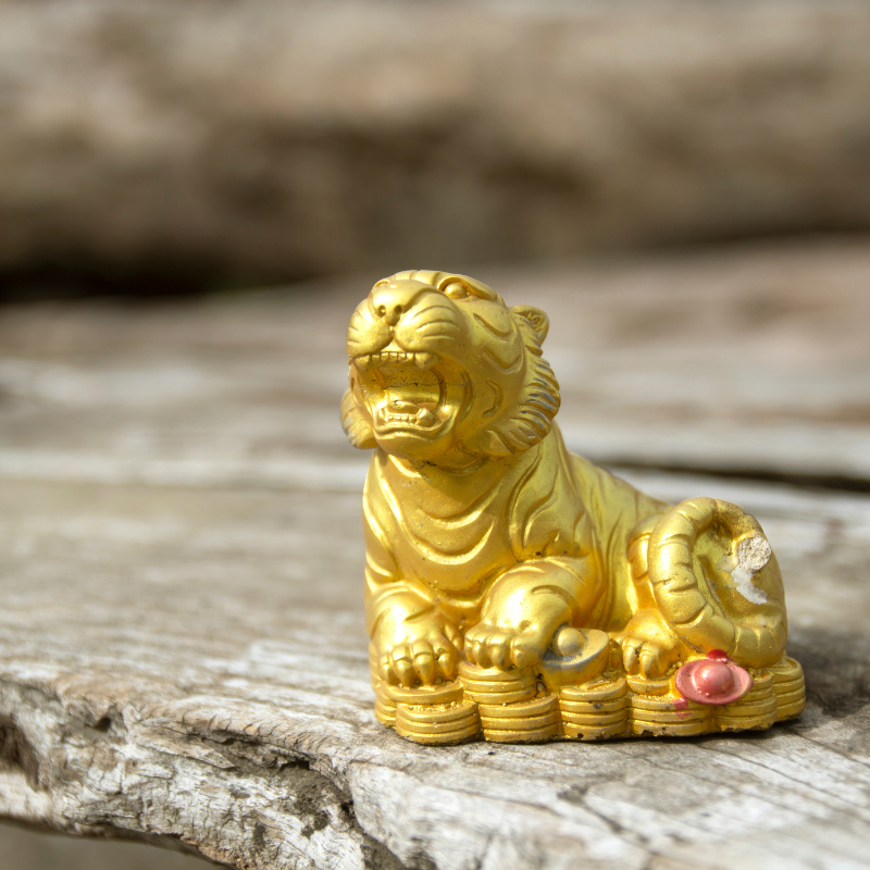 Hướng dẫn cần thiết để giúp bạn tạo ra một không gian sống phong thủy phù hợp