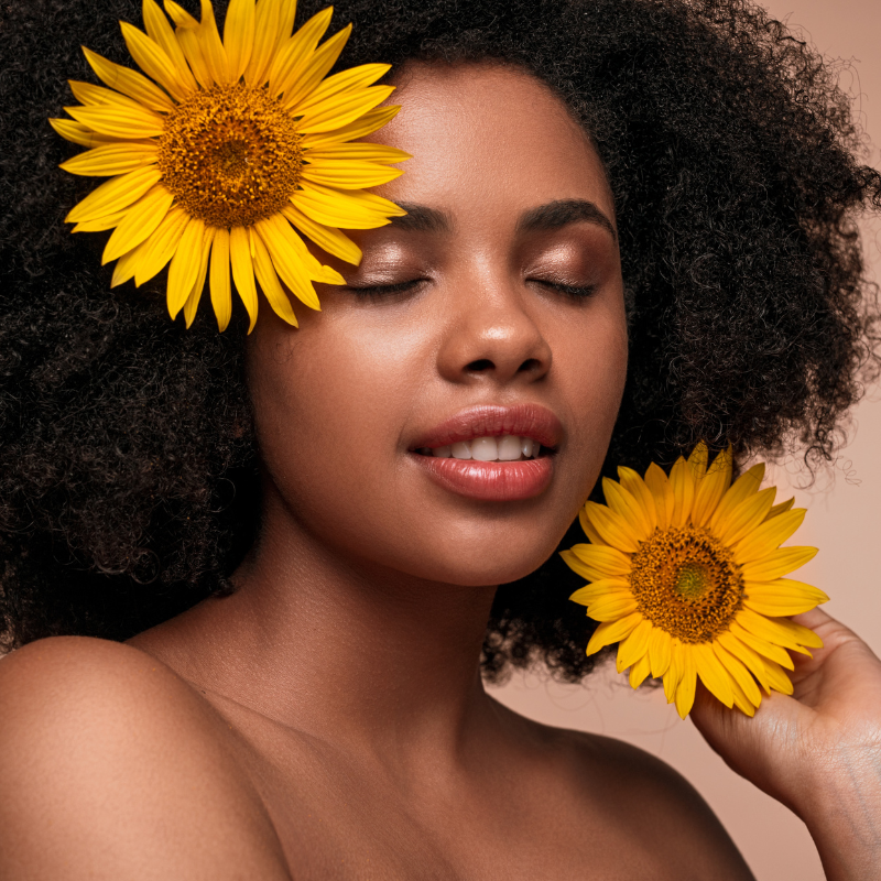 Hoa hướng dương: Tình yêu và lòng trung thành với ánh sáng