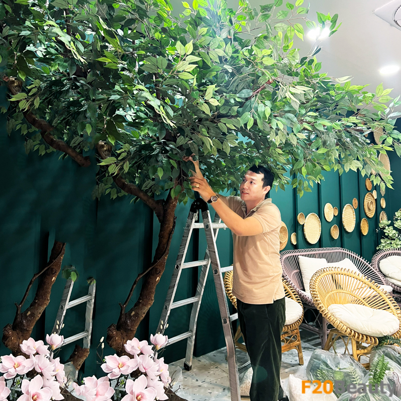 Thi công cây si tại quán cà phê, tiệm Spa thẩm mỹ viện đẹp như thật