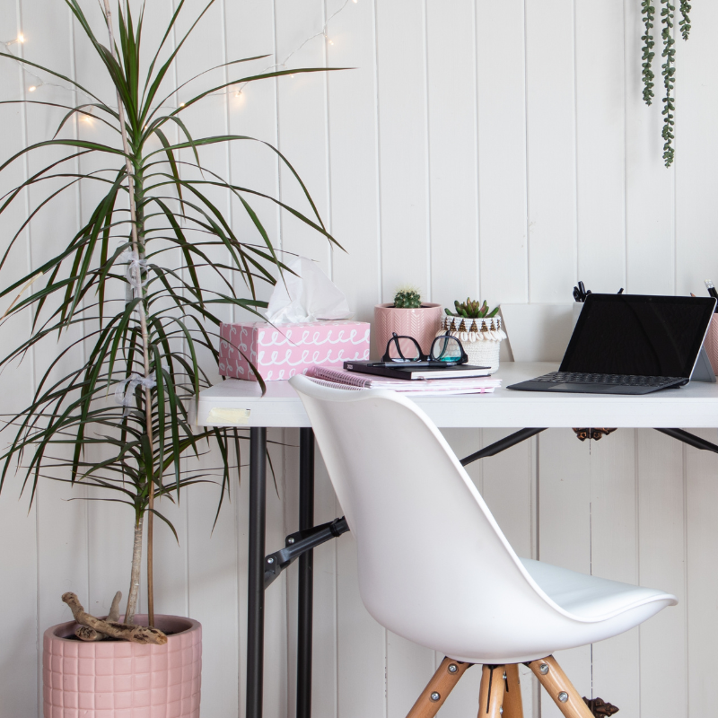 Trang trí cây xanh trong nhà