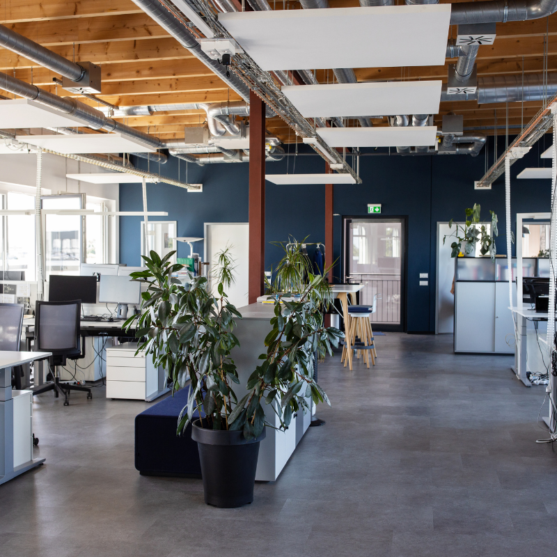 Mẹo bày trí cây cảnh văn phòng giúp tạo không gian thoải mái và tràn đầy năng lượng