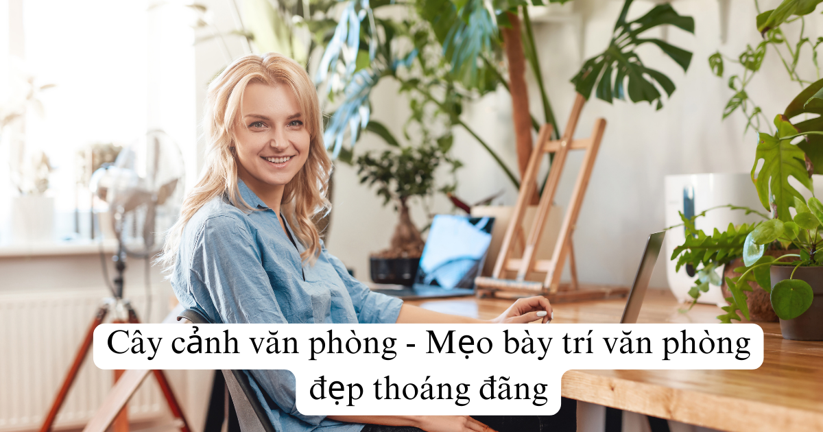 Cây cảnh văn phòng - Mẹo bày trí văn phòng đẹp thoáng đãng