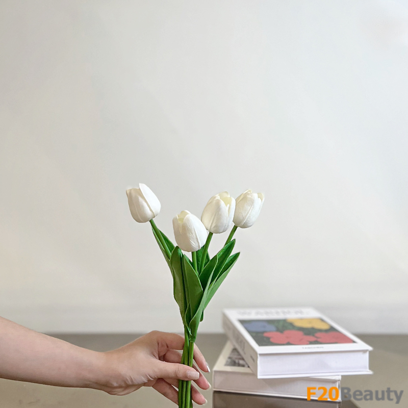 Hoa tulip màu trắng