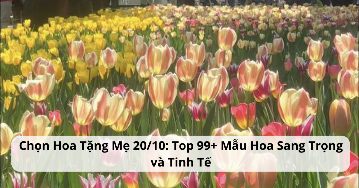 Chọn Hoa Tặng Mẹ 20/10: Top 99+ Mẫu Hoa Sang Trọng và Tinh Tế
