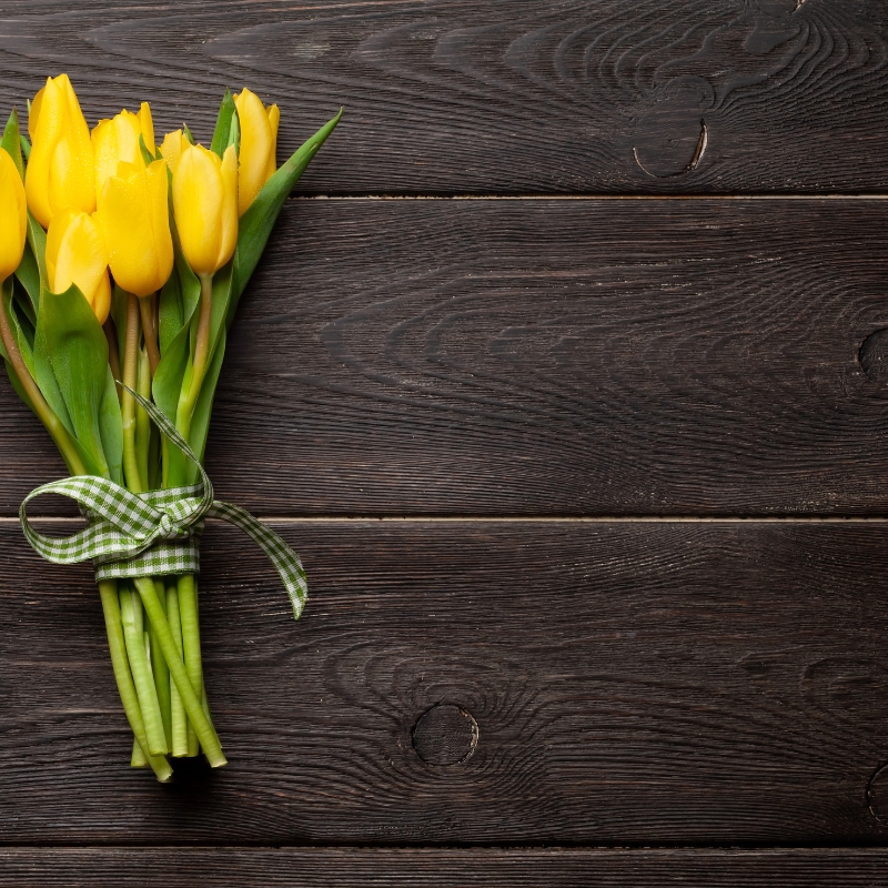 Sắc vàng rực rỡ: Ý nghĩa của hoa sinh nhật màu vàng và tình bạn.