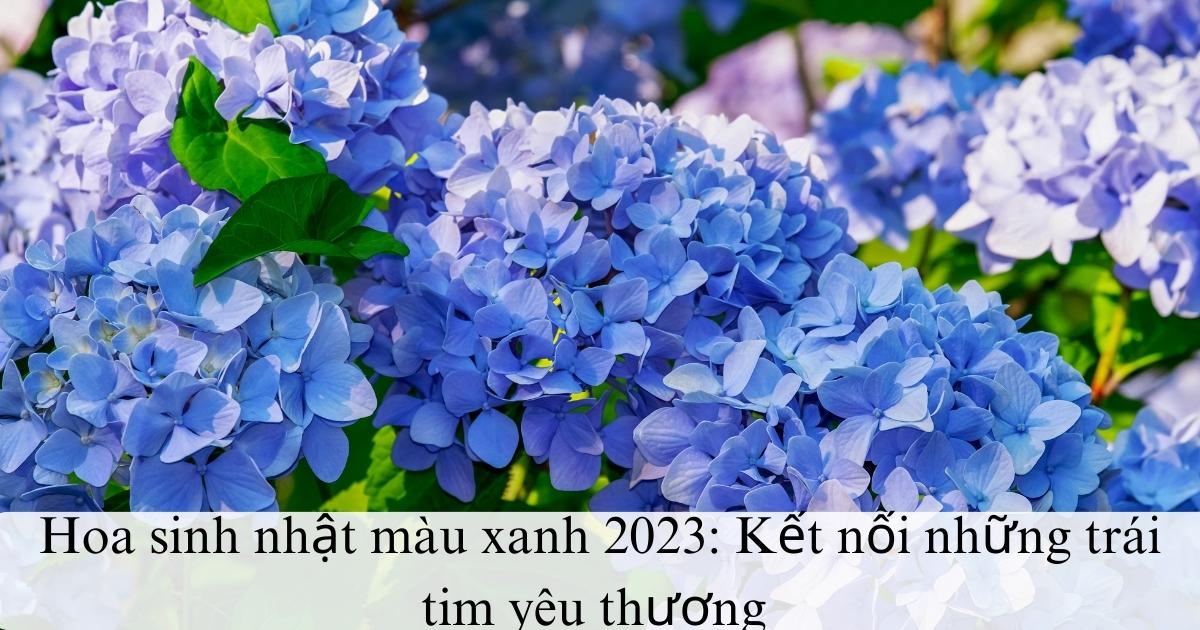 Hoa sinh nhật màu xanh 2025: Kết nối những trái tim yêu thương