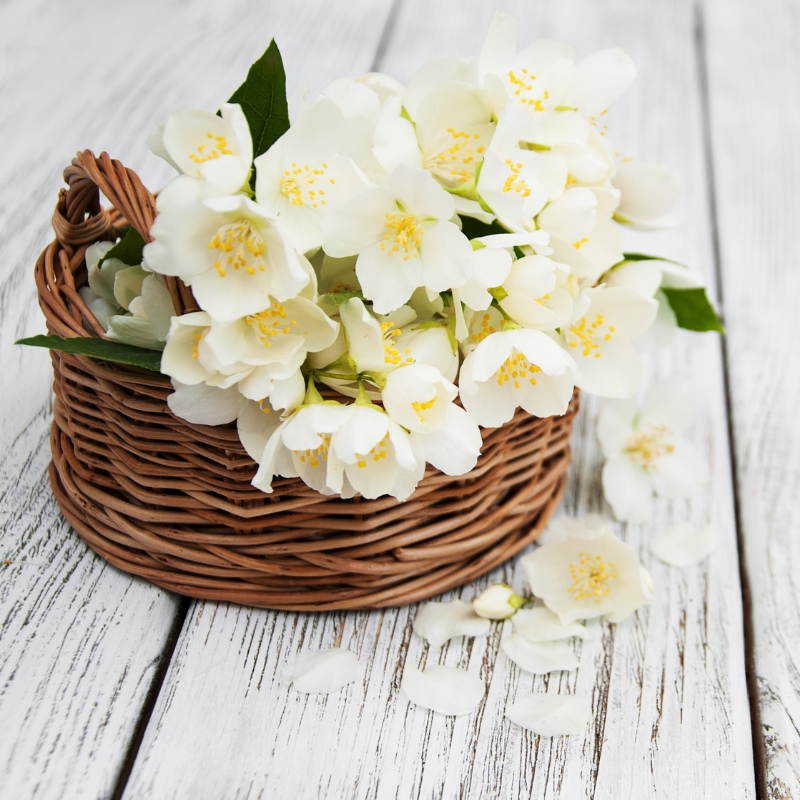 Kết nối trái tim và truyền đạt thông điệp thông qua mỗi bông hoa, lẵng giỏ hoa chúc mừng khai trương