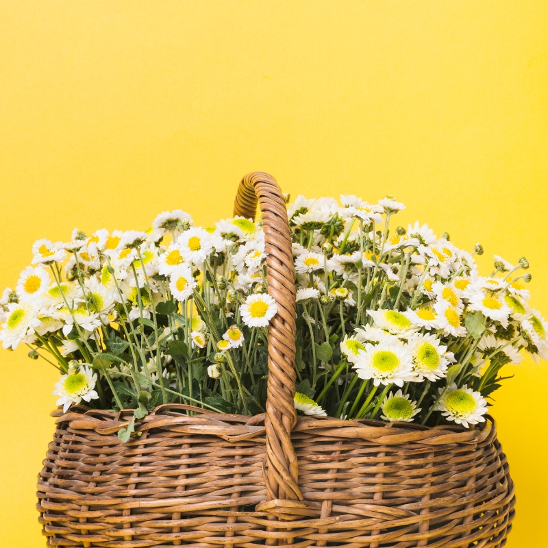 Khởi đầu trở nên đáng nhớ với những mẫu lẵng giỏ hoa chúc mừng khai trương độc đáo