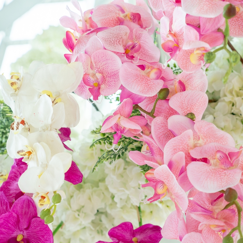 Lan mừng khai trương: sự tinh tế, vượt trội.