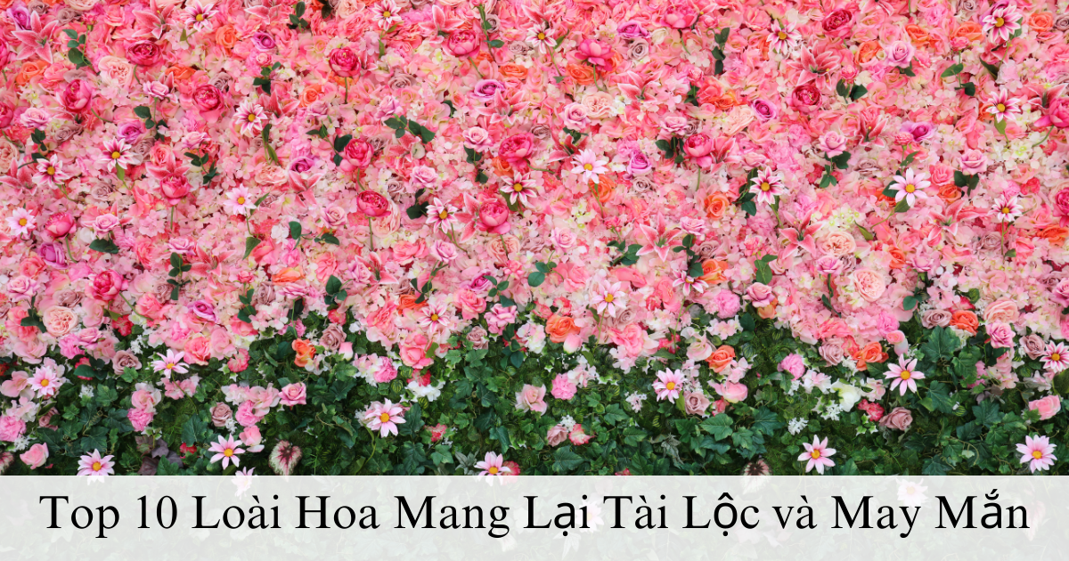 Top 10 Loài Hoa Mang Lại Tài Lộc và May Mắn