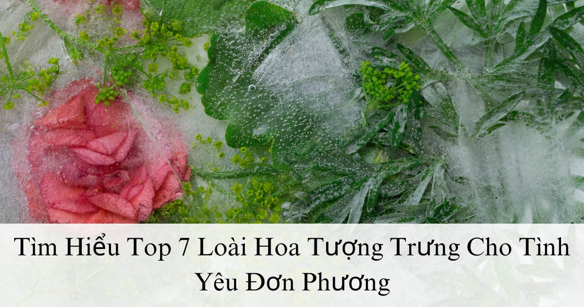 Tìm Hiểu Top 7 Loài Hoa Tượng Trưng Cho Tình Yêu Đơn Phương