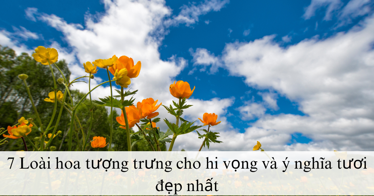 Top 9 loài hoa biểu tượng của hy vọng và ý nghĩa tươi đẹp nhất