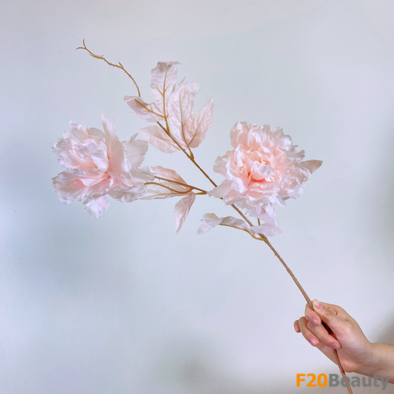 Hoa cẩm chướng màu hồng phấn: Sắc đẹp tinh khôi của thiên nhiên