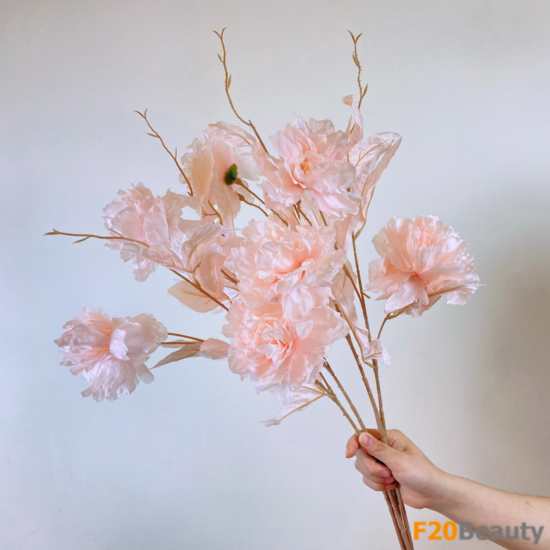 Hoa cẩm chướng màu hồng phấn: Sắc hồng tươi mới đọng mãi trong tâm hồn