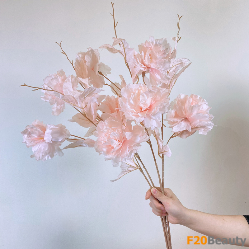 Hoa cẩm chướng màu hồng phấn - Sự kết hợp hoàn hảo giữa màu sắc và tinh tế