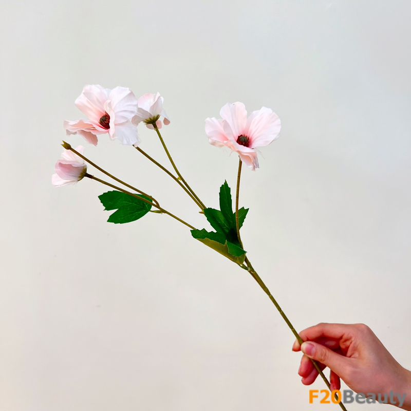 Làn gió mềm mại: Khám phá vẻ đẹp của hoa cẩm quỳ hồng nhạt 4 bông