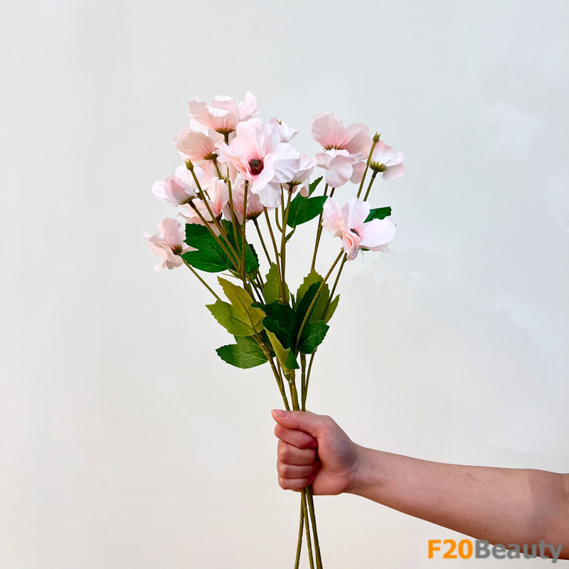 Hoa cẩm quỳ màu hồng nhạt - Sự tinh tế và thanh khiết của thiên nhiên