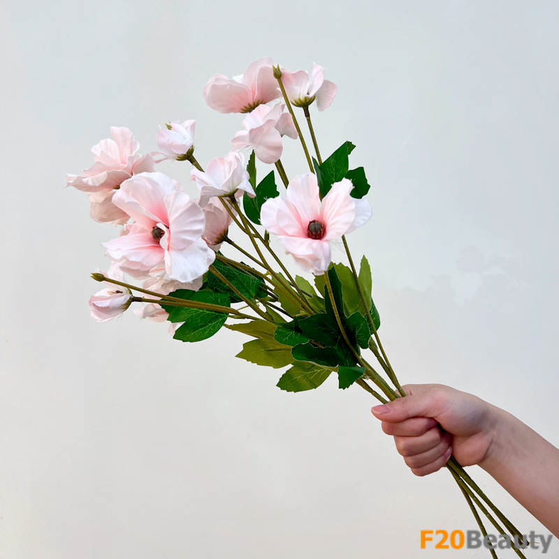 Hoa cẩm quỳ 4 bông màu hồng nhạt