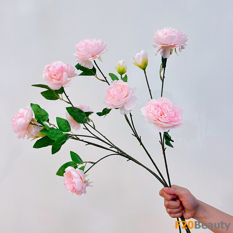 Hoa hồng bắp cải 2 bông 1 nụ màu hồng nhạt