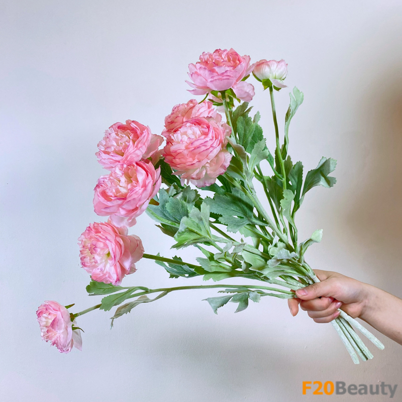 Sự thanh khiết và quý phái: Hoa hồng David Austin hồng nhạt với 3 bông tươi rói