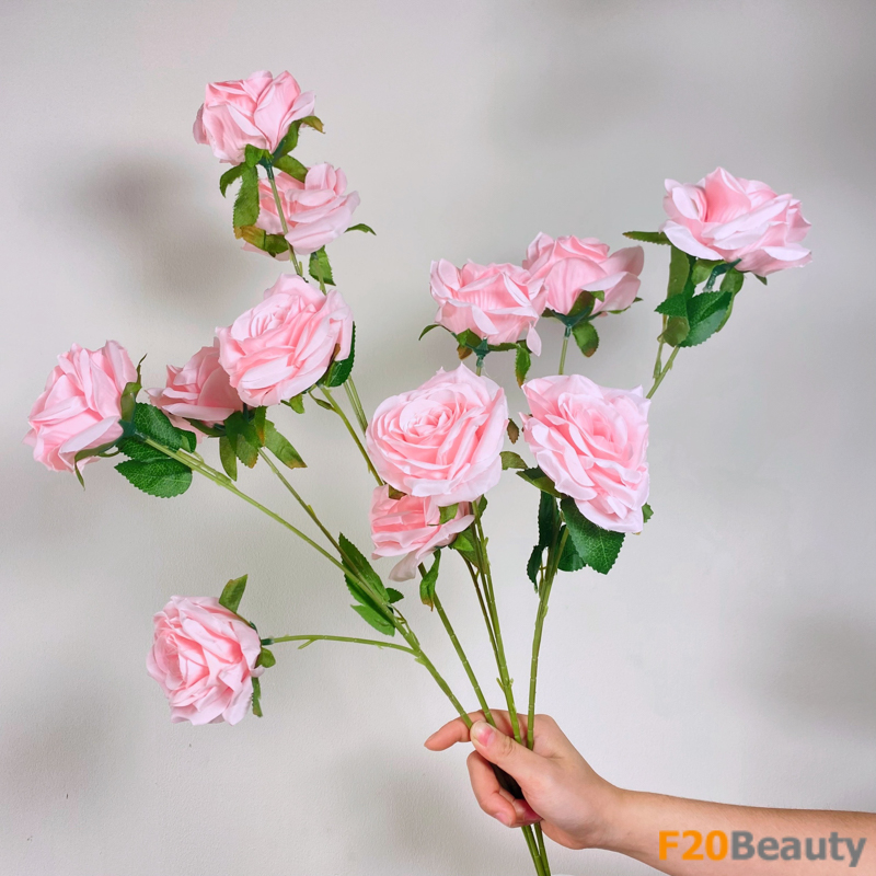 Hoa hồng Ingrid Bergman màu hồng