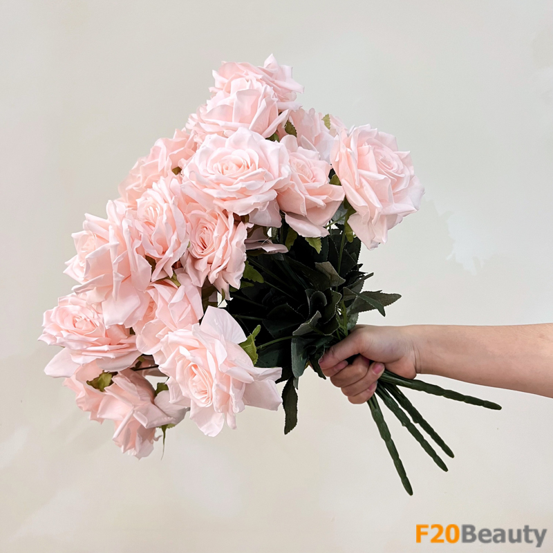 Nét tươi mới và quyến rũ: Hoa hồng Rosa Schnnewittchen chinh phục trái tim