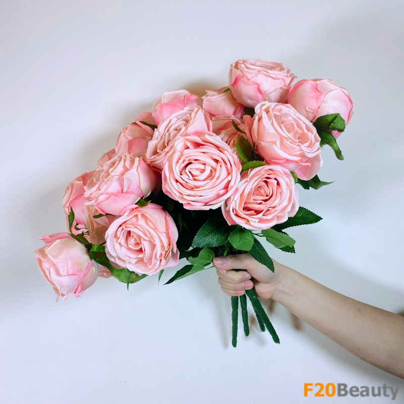 Hoa hồng trà: Sự thanh khiết và sự mê hoặc của 7 bông màu hồng nhạt