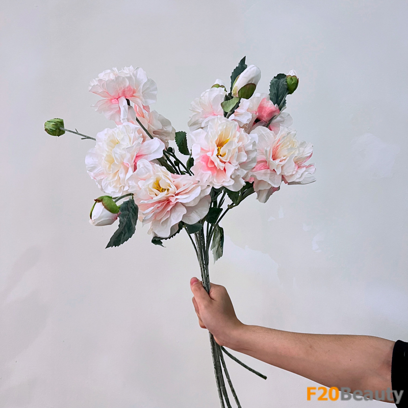 Hoa hồng mẫu đơn 2 bông 1 nụ màu hồng nhạt: Đôi bông tươi sáng trong thiên nhiên hoang sơ