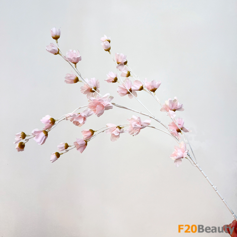 Hoa lồng đèn Jollies Riems màu hồng pastel - Biểu tượng của sự tinh tế và quyến rũ