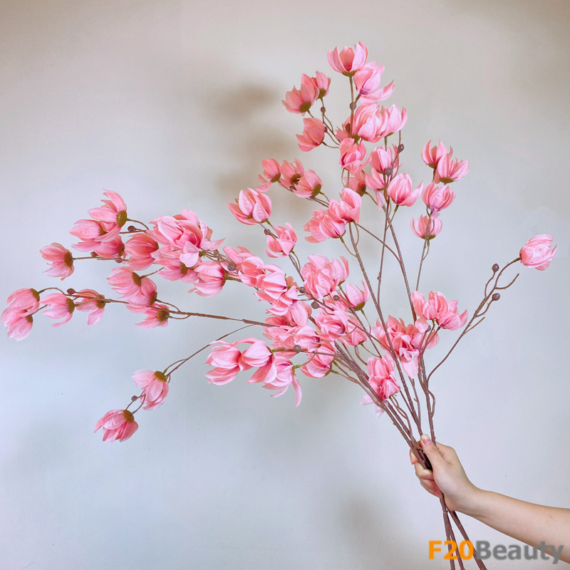 Hoa lồng đèn Jollies Riems màu hồng nhạt