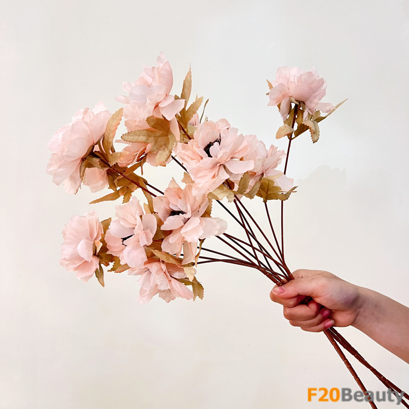 Hoa mẫu đơn hồng nhạt: Sự tươi tắn của mùa xuân