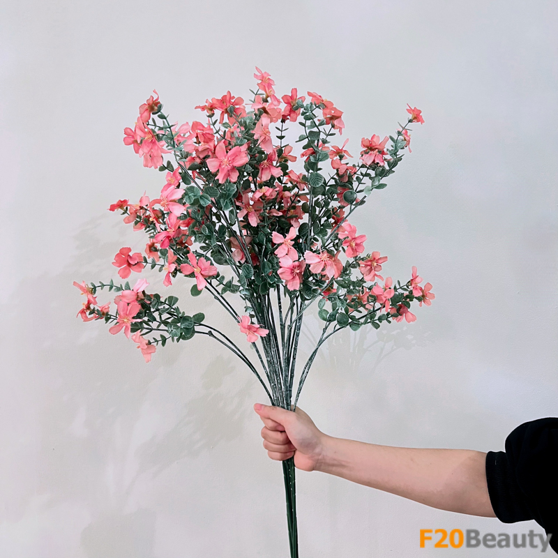 Sắc hồng nhạt tinh tế: Khám phá vẻ đẹp của hoa mộc qua Chaenomeles