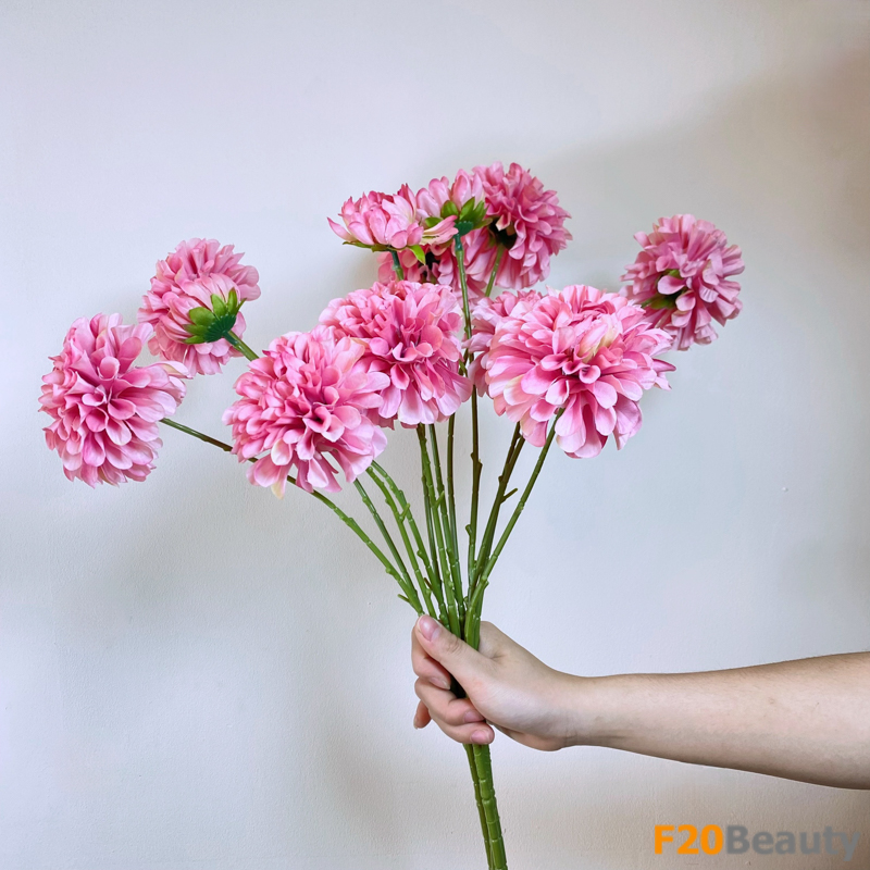 Hoa thược dược - Biểu tượng của sự tinh tế và mê hoặc với ba bông màu hồng fuchsia