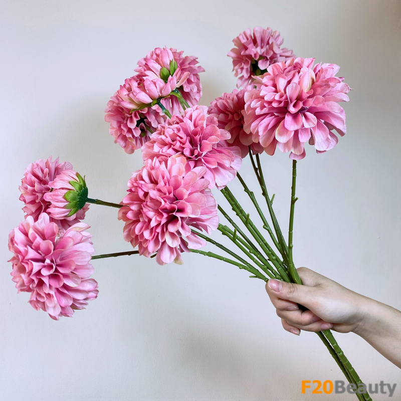 Hoa thược dược 3 bông màu hồng tím