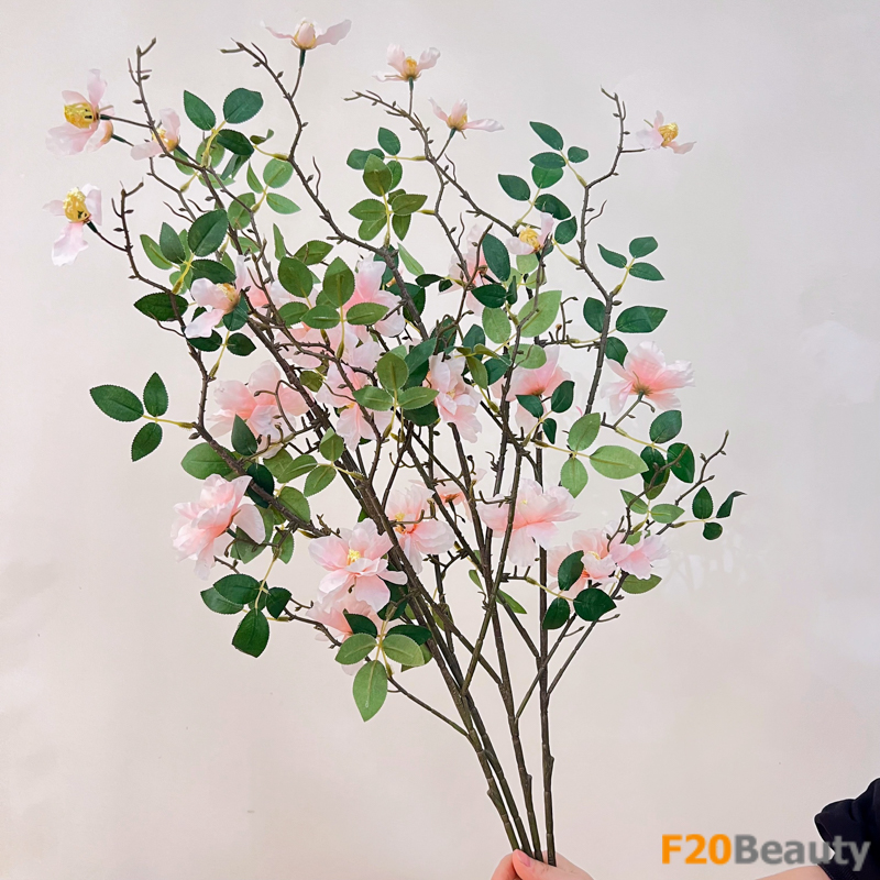 Hoa trà Camellia màu hồng nhạt