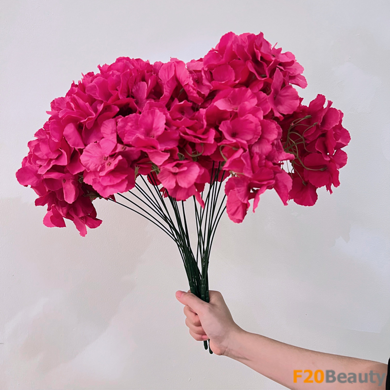 Hoa cẩm tú cầu Hydrangea Macrocarpa màu hồng Bubblegum - Sự hòa quyện của màu sắc và thiên nhiên