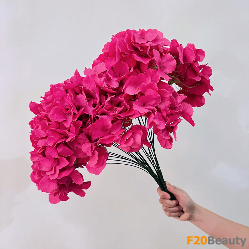 Hoa cẩm tú cầu Hydrangea Macrocarpa màu hồng đậm