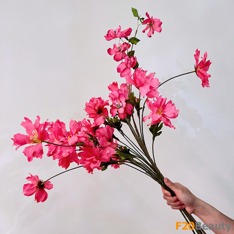 Hoa đỗ quyên Indicum - Biểu tượng của vẻ đẹp tinh tế và sự quyến rũ màu hồng