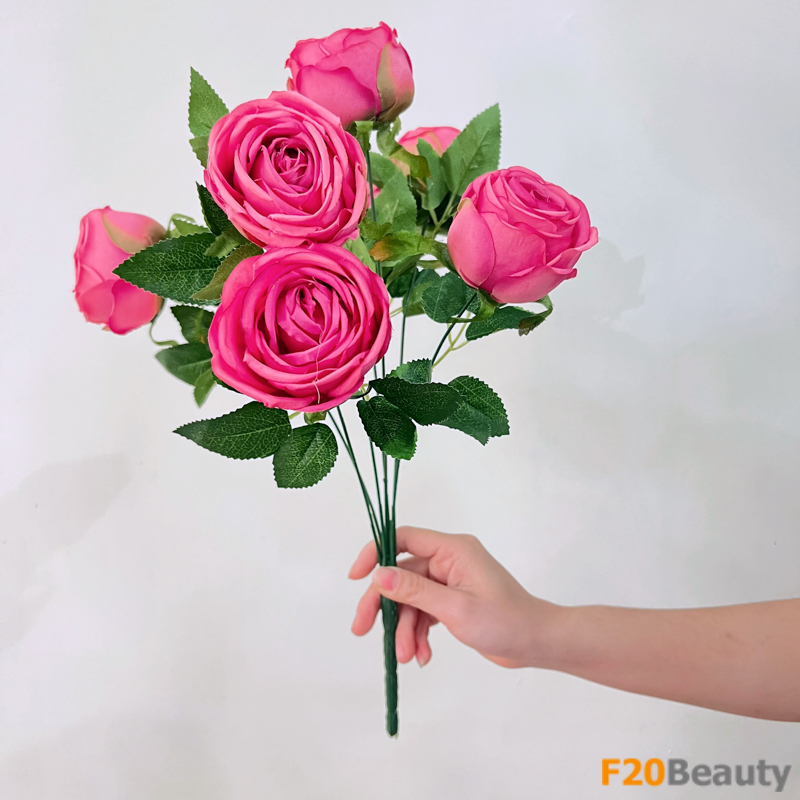 Hoa hồng trà màu hồng Magenta - Sự kết hợp tươi sáng của màu sắc và thiên nhiên