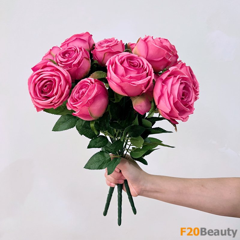 Màu hồng Magenta quyến rũ: Bảy bông hoa hồng trà tạo nên một bức tranh tuyệt đẹp