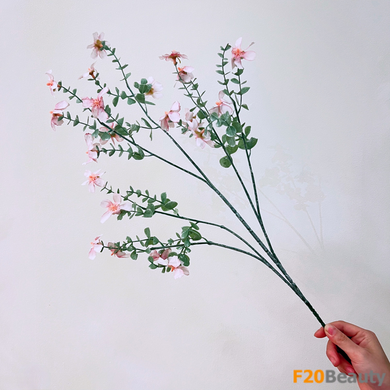 Tận hưởng vẻ đẹp tự nhiên: Hoa mộc qua Chaenomeles màu hồng Blush nở rộ