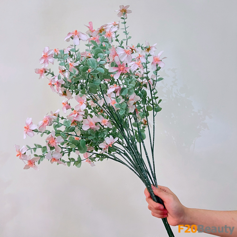 Hoa mộc qua Chaenomeles màu hồng trắng