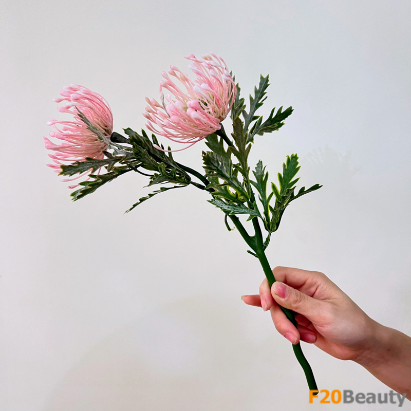 Tạo điểm nhấn với hoa thảo đường Neriifolia màu hồng nhạt và cành hai bông