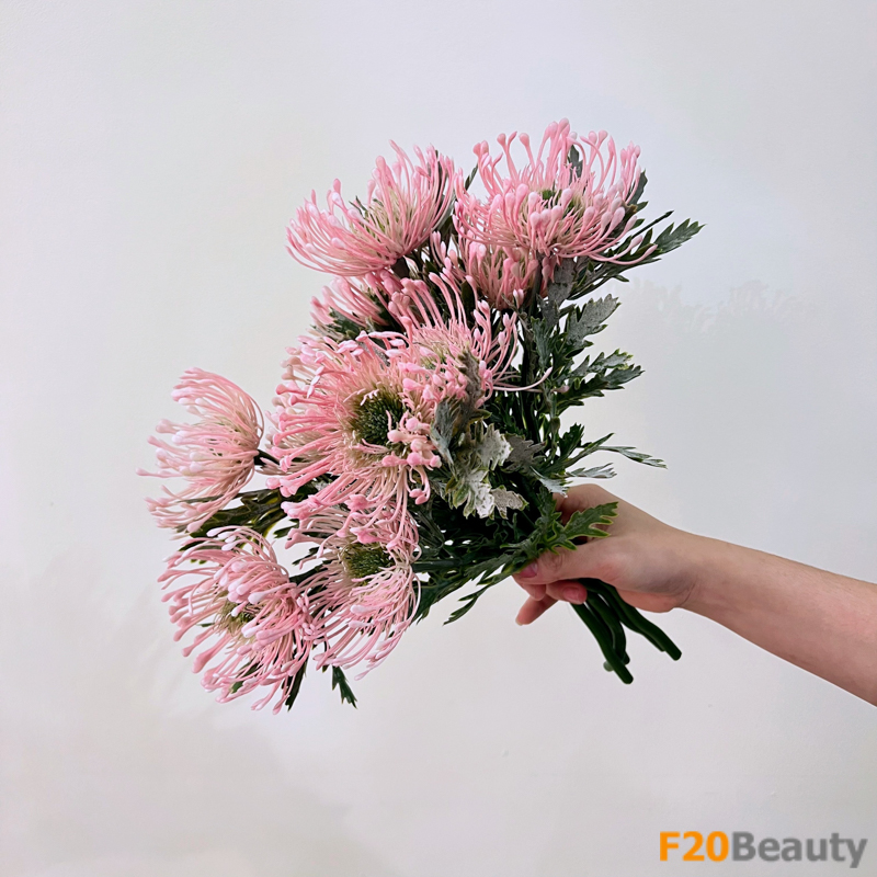 Hoa thảo đường Neriifolia cành 2 bông hồng nhạt