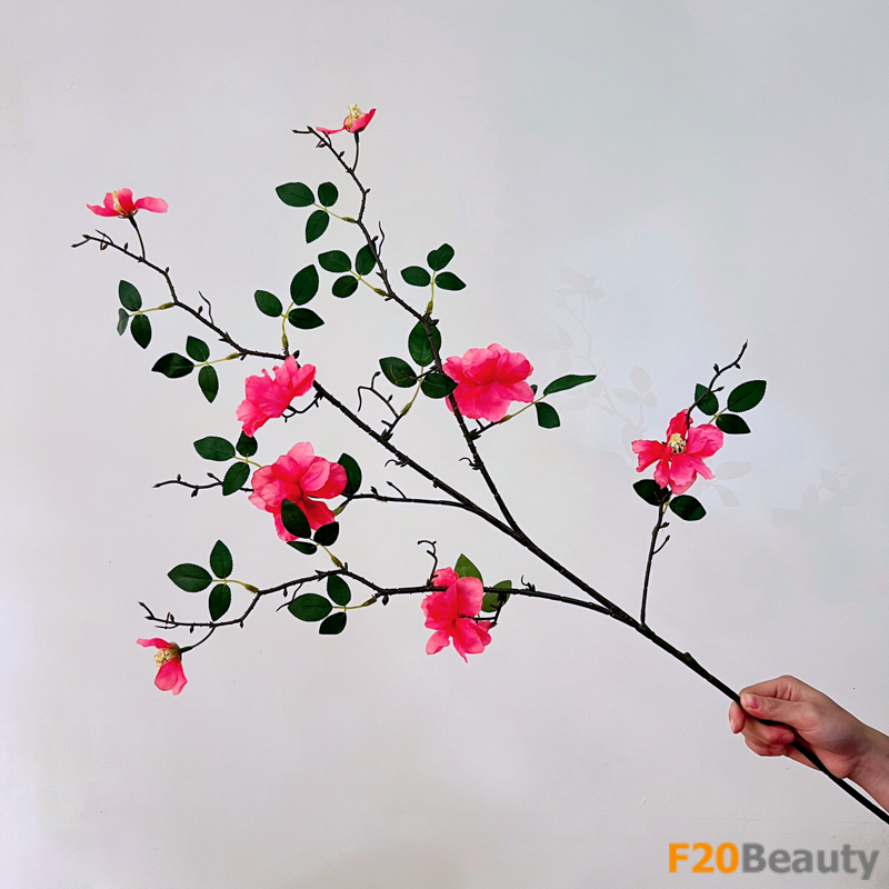Màu hồng Magenta rực rỡ: Hoa trà Camellia nở rộ trong thiên nhiên