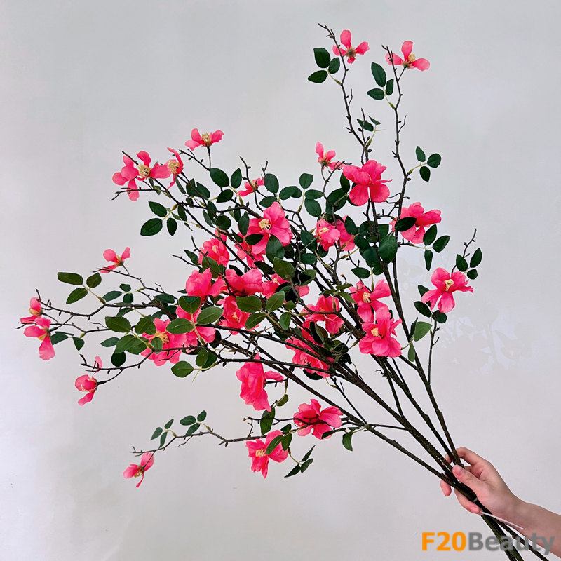 Hoa trà Camellia màu hồng