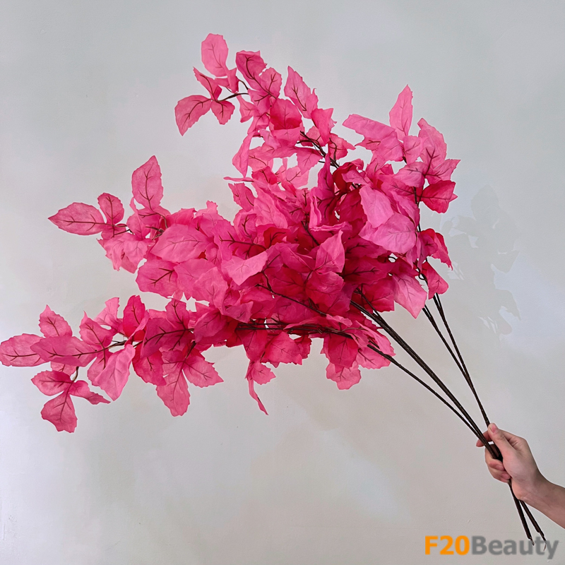 Hoa giấy Bougainvillea màu hồng: Đẹp tự nhiên độc đáo