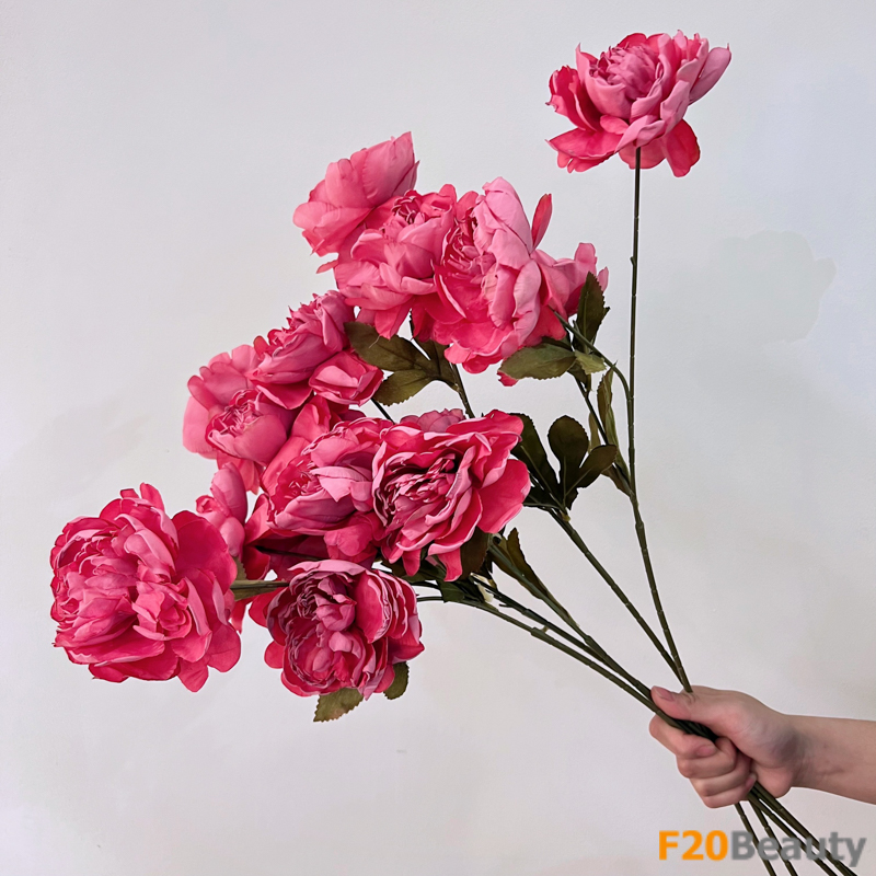 Hoa hồng Louis De Funes nhánh 3 bông màu hồng Magenta