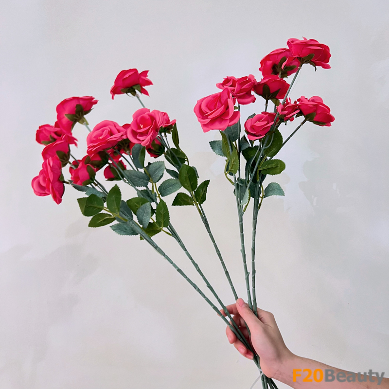 Màu hồng Magenta đọng mãi: Hoa hồng tỉ muội Miniature rực rỡ